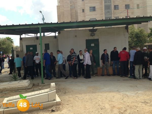 zbedajanaza45 (9).JPG